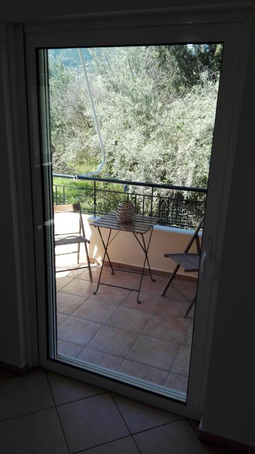 Olivo Nydri Apartment Екстериор снимка