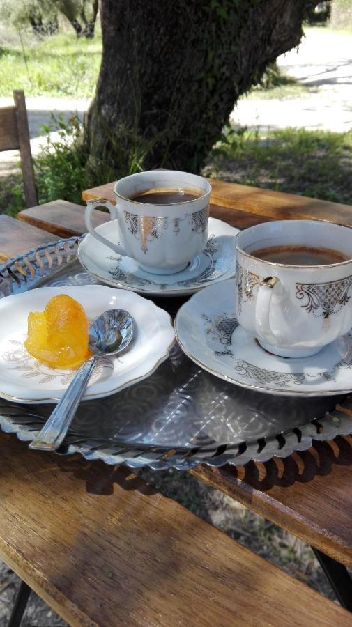 Olivo Nydri Apartment Екстериор снимка