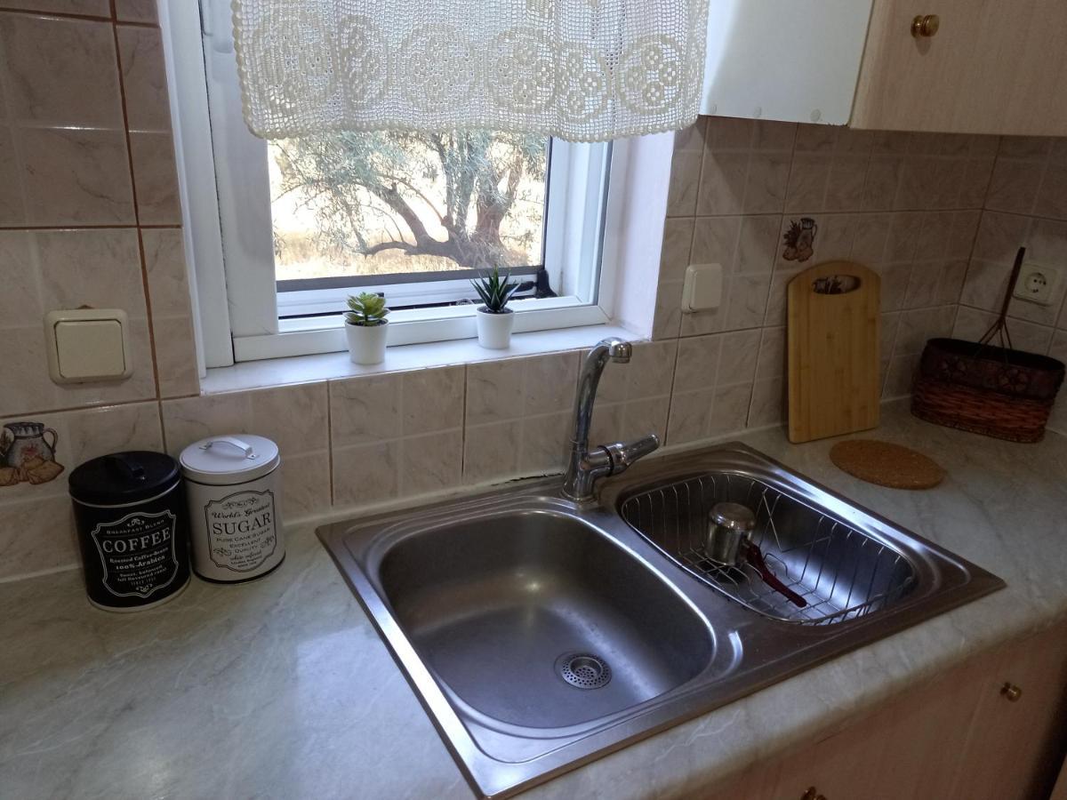 Olivo Nydri Apartment Екстериор снимка