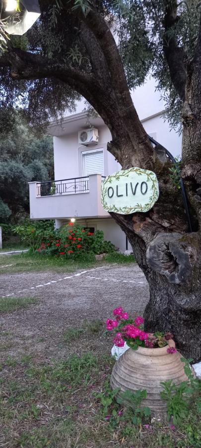 Olivo Nydri Apartment Екстериор снимка
