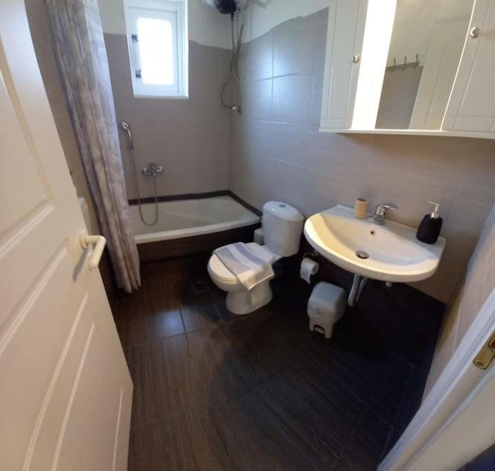 Olivo Nydri Apartment Екстериор снимка