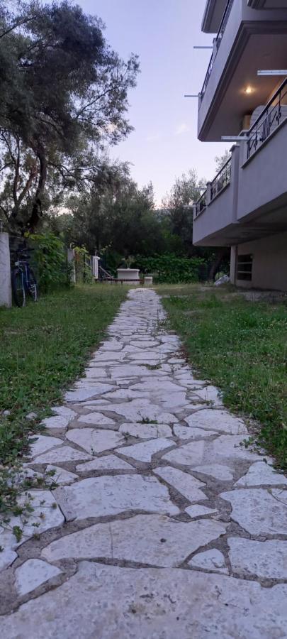 Olivo Nydri Apartment Екстериор снимка